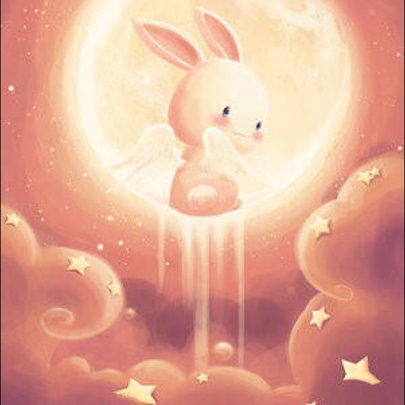 Meet your Posher, Wing - Picture 1 of 1